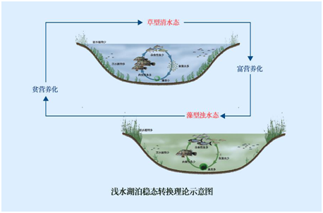 我国水生态环境修复现状分析解读(上)- 我国水生态环境修复现状分析解读(上)-