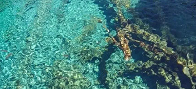 水质怎么分类的？