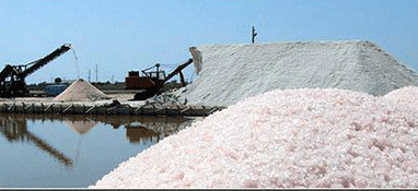 工业废盐中有机物的深度去除方法