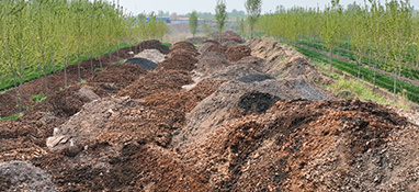 消失的污泥去哪儿了？