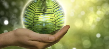 百万亿碳中和就业赛道，不要只盯着碳排放管理员