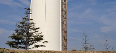 中央第一生态环境保护督察组向河北省反馈督察情况