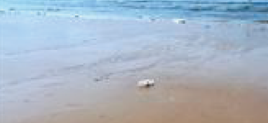 在年产量突破1亿吨前，破解污泥“围城之殇”！