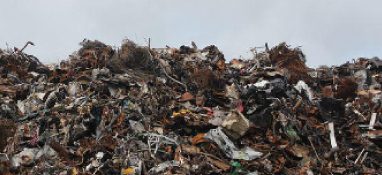 加快推进生活垃圾分类和资源化利用