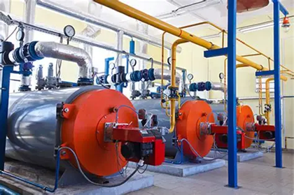 上海绿色制造展｜生物质天然气制绿氨技术获国际认证，实现全生命周期碳足迹追踪